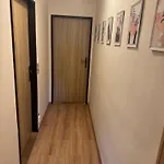 Kocourkov Apartmán Jáchymov