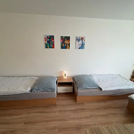 Kocourkov Appartamento Jáchymov
