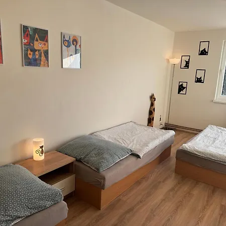 Appartamento Kocourkov Jáchymov