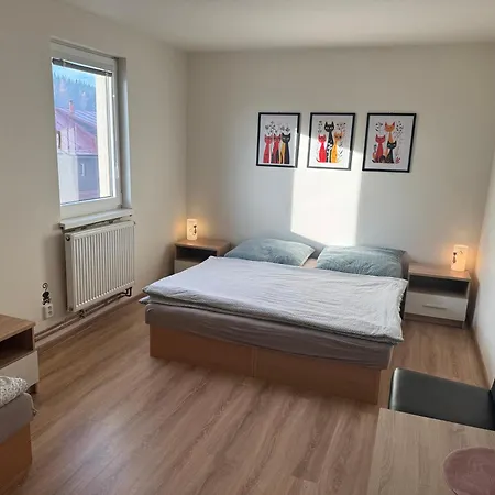 Appartement Kocourkov Jáchymov
