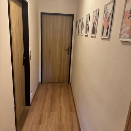 Kocourkov Appartamento Jáchymov