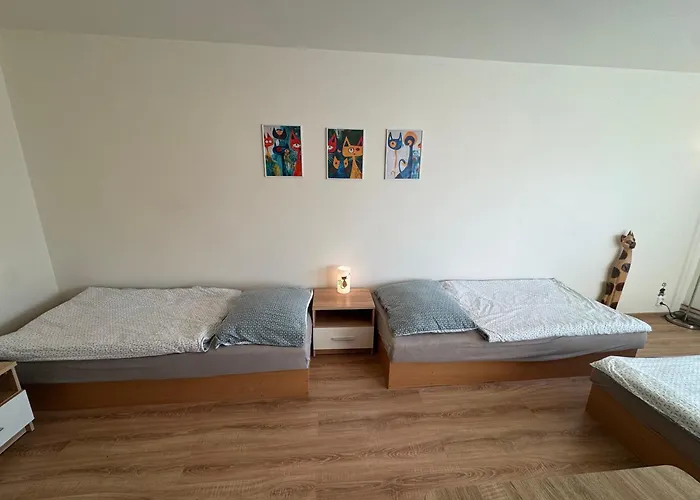 Kocourkov Appartamento Jáchymov