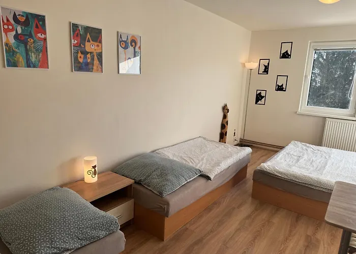 Apartamento Kocourkov Jáchymov